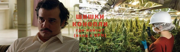 бошки Алексин