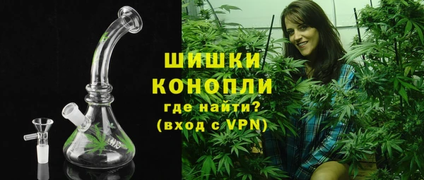 бошки Алексин